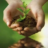 Fórmula vegana e cruelty-free